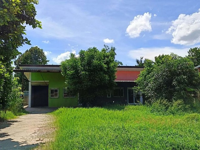 ประกาศฟรี! ซื้อ-ขาย-เช่า คอนโด บ้าน ทาวน์โฮม ที่ดิน และพื้นที่เชิงพาณิชย์ทั่วประเทศไทย ทุกทำเล ทุกงบประมาณ ไม่มีค่าใช้จ่าย ลงง่าย ขายไว เข้าถึงผู้ซื้อโดยตรง 2 261074pic1.jpg