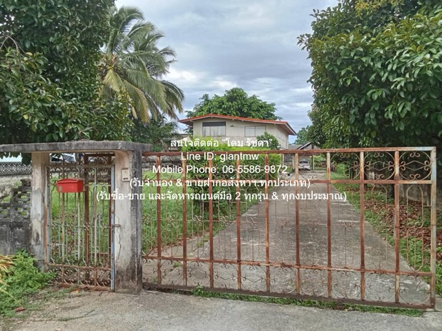 ประกาศฟรี! ซื้อ-ขาย-เช่า คอนโด บ้าน ทาวน์โฮม ที่ดิน และพื้นที่เชิงพาณิชย์ทั่วประเทศไทย ทุกทำเล ทุกงบประมาณ ไม่มีค่าใช้จ่าย ลงง่าย ขายไว เข้าถึงผู้ซื้อโดยตรง 2 301283pic1.jpg