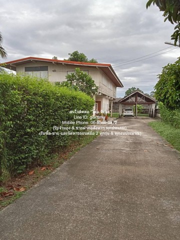 ประกาศฟรี! ซื้อ-ขาย-เช่า คอนโด บ้าน ทาวน์โฮม ที่ดิน และพื้นที่เชิงพาณิชย์ทั่วประเทศไทย ทุกทำเล ทุกงบประมาณ ไม่มีค่าใช้จ่าย ลงง่าย ขายไว เข้าถึงผู้ซื้อโดยตรง 4 301283pic3.jpg