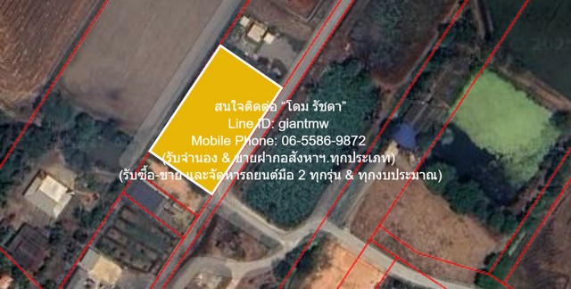 ประกาศฟรี! ซื้อ-ขาย-เช่า คอนโด บ้าน ทาวน์โฮม ที่ดิน และพื้นที่เชิงพาณิชย์ทั่วประเทศไทย ทุกทำเล ทุกงบประมาณ ไม่มีค่าใช้จ่าย ลงง่าย ขายไว เข้าถึงผู้ซื้อโดยตรง 2 297267pic1.jpg