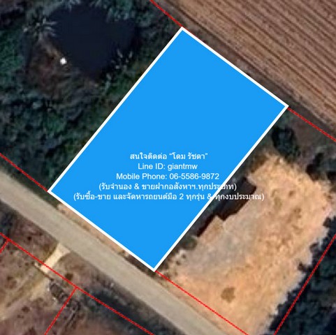 ประกาศฟรี! ซื้อ-ขาย-เช่า คอนโด บ้าน ทาวน์โฮม ที่ดิน และพื้นที่เชิงพาณิชย์ทั่วประเทศไทย ทุกทำเล ทุกงบประมาณ ไม่มีค่าใช้จ่าย ลงง่าย ขายไว เข้าถึงผู้ซื้อโดยตรง 2 297214pic1.jpg