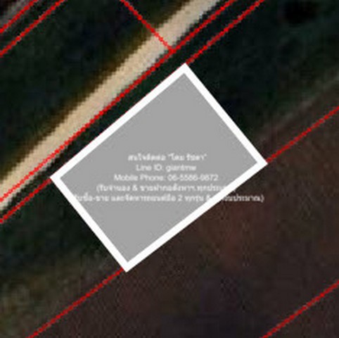 ประกาศฟรี! ซื้อ-ขาย-เช่า คอนโด บ้าน ทาวน์โฮม ที่ดิน และพื้นที่เชิงพาณิชย์ทั่วประเทศไทย ทุกทำเล ทุกงบประมาณ ไม่มีค่าใช้จ่าย ลงง่าย ขายไว เข้าถึงผู้ซื้อโดยตรง 2 296865pic1.jpg