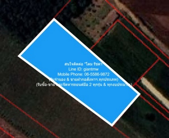 ประกาศฟรี! ซื้อ-ขาย-เช่า คอนโด บ้าน ทาวน์โฮม ที่ดิน และพื้นที่เชิงพาณิชย์ทั่วประเทศไทย ทุกทำเล ทุกงบประมาณ ไม่มีค่าใช้จ่าย ลงง่าย ขายไว เข้าถึงผู้ซื้อโดยตรง 2 296863pic1.jpg