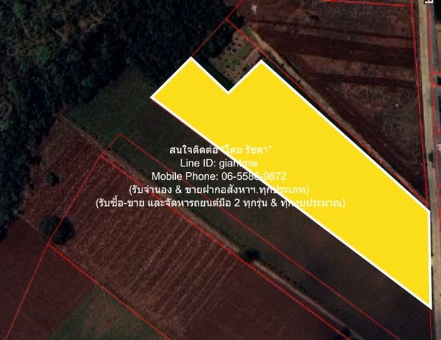 ประกาศฟรี! ซื้อ-ขาย-เช่า คอนโด บ้าน ทาวน์โฮม ที่ดิน และพื้นที่เชิงพาณิชย์ทั่วประเทศไทย ทุกทำเล ทุกงบประมาณ ไม่มีค่าใช้จ่าย ลงง่าย ขายไว เข้าถึงผู้ซื้อโดยตรง 2 296859pic1.jpg