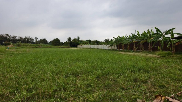 ประกาศฟรี! ซื้อ-ขาย-เช่า คอนโด บ้าน ทาวน์โฮม ที่ดิน และพื้นที่เชิงพาณิชย์ทั่วประเทศไทย ทุกทำเล ทุกงบประมาณ ไม่มีค่าใช้จ่าย ลงง่าย ขายไว เข้าถึงผู้ซื้อโดยตรง 4 294468pic3.jpg