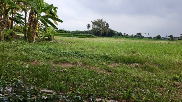 ประกาศฟรี! ซื้อ-ขาย-เช่า คอนโด บ้าน ทาวน์โฮม ที่ดิน และพื้นที่เชิงพาณิชย์ทั่วประเทศไทย ทุกทำเล ทุกงบประมาณ ไม่มีค่าใช้จ่าย ลงง่าย ขายไว เข้าถึงผู้ซื้อโดยตรง 5 294468pic4.jpg