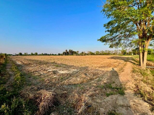 ประกาศฟรี! ซื้อ-ขาย-เช่า คอนโด บ้าน ทาวน์โฮม ที่ดิน และพื้นที่เชิงพาณิชย์ทั่วประเทศไทย ทุกทำเล ทุกงบประมาณ ไม่มีค่าใช้จ่าย ลงง่าย ขายไว เข้าถึงผู้ซื้อโดยตรง 3 294393pic2.jpg