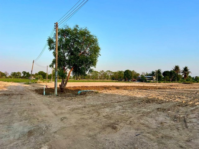 ประกาศฟรี! ซื้อ-ขาย-เช่า คอนโด บ้าน ทาวน์โฮม ที่ดิน และพื้นที่เชิงพาณิชย์ทั่วประเทศไทย ทุกทำเล ทุกงบประมาณ ไม่มีค่าใช้จ่าย ลงง่าย ขายไว เข้าถึงผู้ซื้อโดยตรง 4 294393pic3.jpg