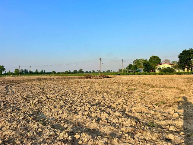 ประกาศฟรี! ซื้อ-ขาย-เช่า คอนโด บ้าน ทาวน์โฮม ที่ดิน และพื้นที่เชิงพาณิชย์ทั่วประเทศไทย ทุกทำเล ทุกงบประมาณ ไม่มีค่าใช้จ่าย ลงง่าย ขายไว เข้าถึงผู้ซื้อโดยตรง 5 294393pic4.jpg