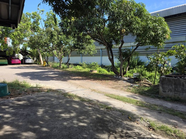 ประกาศฟรี! ซื้อ-ขาย-เช่า คอนโด บ้าน ทาวน์โฮม ที่ดิน และพื้นที่เชิงพาณิชย์ทั่วประเทศไทย ทุกทำเล ทุกงบประมาณ ไม่มีค่าใช้จ่าย ลงง่าย ขายไว เข้าถึงผู้ซื้อโดยตรง 5 294213pic4.jpg