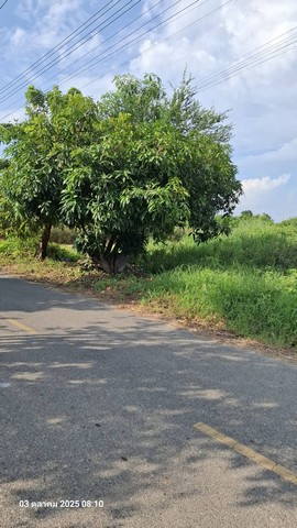 ประกาศฟรี! ซื้อ-ขาย-เช่า คอนโด บ้าน ทาวน์โฮม ที่ดิน และพื้นที่เชิงพาณิชย์ทั่วประเทศไทย ทุกทำเล ทุกงบประมาณ ไม่มีค่าใช้จ่าย ลงง่าย ขายไว เข้าถึงผู้ซื้อโดยตรง 4 229976pic3.jpg