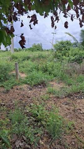 ประกาศฟรี! ซื้อ-ขาย-เช่า คอนโด บ้าน ทาวน์โฮม ที่ดิน และพื้นที่เชิงพาณิชย์ทั่วประเทศไทย ทุกทำเล ทุกงบประมาณ ไม่มีค่าใช้จ่าย ลงง่าย ขายไว เข้าถึงผู้ซื้อโดยตรง 4 208762pic3.jpg