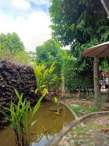 ประกาศฟรี! ซื้อ-ขาย-เช่า คอนโด บ้าน ทาวน์โฮม ที่ดิน และพื้นที่เชิงพาณิชย์ทั่วประเทศไทย ทุกทำเล ทุกงบประมาณ ไม่มีค่าใช้จ่าย ลงง่าย ขายไว เข้าถึงผู้ซื้อโดยตรง 3 261172pic2.jpg