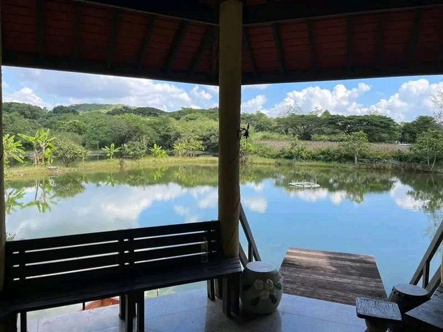 ประกาศฟรี! ซื้อ-ขาย-เช่า คอนโด บ้าน ทาวน์โฮม ที่ดิน และพื้นที่เชิงพาณิชย์ทั่วประเทศไทย ทุกทำเล ทุกงบประมาณ ไม่มีค่าใช้จ่าย ลงง่าย ขายไว เข้าถึงผู้ซื้อโดยตรง 3 261213pic2.jpg