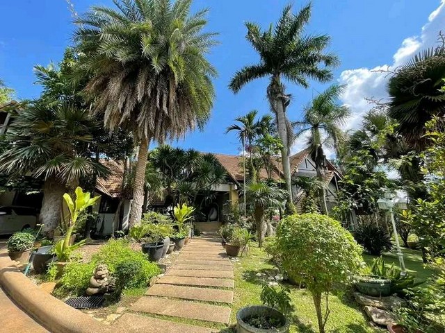 ประกาศฟรี! ซื้อ-ขาย-เช่า คอนโด บ้าน ทาวน์โฮม ที่ดิน และพื้นที่เชิงพาณิชย์ทั่วประเทศไทย ทุกทำเล ทุกงบประมาณ ไม่มีค่าใช้จ่าย ลงง่าย ขายไว เข้าถึงผู้ซื้อโดยตรง 4 261213pic3.jpg