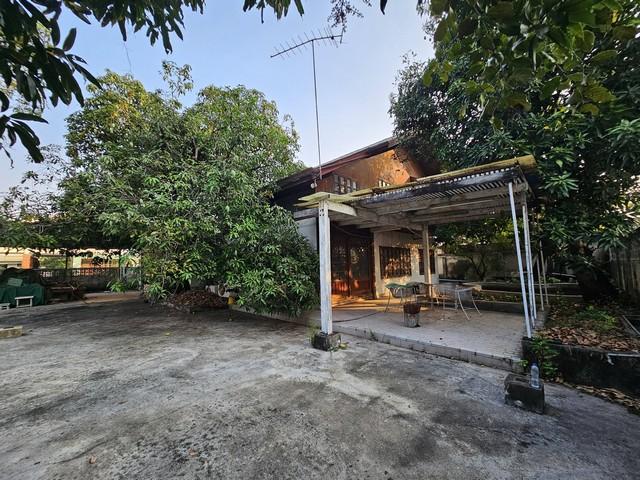 ประกาศฟรี! ซื้อ-ขาย-เช่า คอนโด บ้าน ทาวน์โฮม ที่ดิน และพื้นที่เชิงพาณิชย์ทั่วประเทศไทย ทุกทำเล ทุกงบประมาณ ไม่มีค่าใช้จ่าย ลงง่าย ขายไว เข้าถึงผู้ซื้อโดยตรง 5 518168pic4.jpg