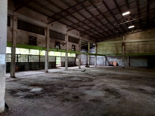 ประกาศฟรี! ซื้อ-ขาย-เช่า คอนโด บ้าน ทาวน์โฮม ที่ดิน และพื้นที่เชิงพาณิชย์ทั่วประเทศไทย ทุกทำเล ทุกงบประมาณ ไม่มีค่าใช้จ่าย ลงง่าย ขายไว เข้าถึงผู้ซื้อโดยตรง 3 318532pic2.jpg