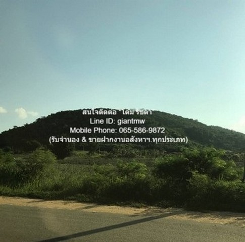 ประกาศฟรี! ซื้อ-ขาย-เช่า คอนโด บ้าน ทาวน์โฮม ที่ดิน และพื้นที่เชิงพาณิชย์ทั่วประเทศไทย ทุกทำเล ทุกงบประมาณ ไม่มีค่าใช้จ่าย ลงง่าย ขายไว เข้าถึงผู้ซื้อโดยตรง 3 21111pic2.jpg