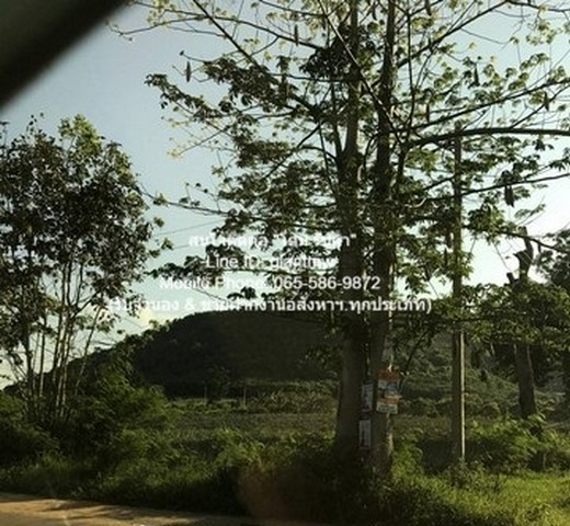 ประกาศฟรี! ซื้อ-ขาย-เช่า คอนโด บ้าน ทาวน์โฮม ที่ดิน และพื้นที่เชิงพาณิชย์ทั่วประเทศไทย ทุกทำเล ทุกงบประมาณ ไม่มีค่าใช้จ่าย ลงง่าย ขายไว เข้าถึงผู้ซื้อโดยตรง 4 21110pic3.jpg