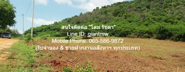 ประกาศฟรี! ซื้อ-ขาย-เช่า คอนโด บ้าน ทาวน์โฮม ที่ดิน และพื้นที่เชิงพาณิชย์ทั่วประเทศไทย ทุกทำเล ทุกงบประมาณ ไม่มีค่าใช้จ่าย ลงง่าย ขายไว เข้าถึงผู้ซื้อโดยตรง 5 21110pic4.jpg