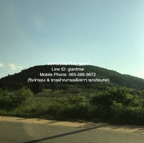 ประกาศฟรี! ซื้อ-ขาย-เช่า คอนโด บ้าน ทาวน์โฮม ที่ดิน และพื้นที่เชิงพาณิชย์ทั่วประเทศไทย ทุกทำเล ทุกงบประมาณ ไม่มีค่าใช้จ่าย ลงง่าย ขายไว เข้าถึงผู้ซื้อโดยตรง 3 21108pic2.jpg