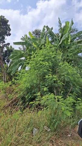 ประกาศฟรี! ซื้อ-ขาย-เช่า คอนโด บ้าน ทาวน์โฮม ที่ดิน และพื้นที่เชิงพาณิชย์ทั่วประเทศไทย ทุกทำเล ทุกงบประมาณ ไม่มีค่าใช้จ่าย ลงง่าย ขายไว เข้าถึงผู้ซื้อโดยตรง 4 259732pic3.jpg