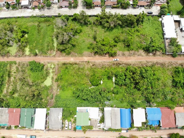 ประกาศฟรี! ซื้อ-ขาย-เช่า คอนโด บ้าน ทาวน์โฮม ที่ดิน และพื้นที่เชิงพาณิชย์ทั่วประเทศไทย ทุกทำเล ทุกงบประมาณ ไม่มีค่าใช้จ่าย ลงง่าย ขายไว เข้าถึงผู้ซื้อโดยตรง 3 305757pic2.jpg