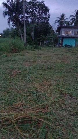 ประกาศฟรี! ซื้อ-ขาย-เช่า คอนโด บ้าน ทาวน์โฮม ที่ดิน และพื้นที่เชิงพาณิชย์ทั่วประเทศไทย ทุกทำเล ทุกงบประมาณ ไม่มีค่าใช้จ่าย ลงง่าย ขายไว เข้าถึงผู้ซื้อโดยตรง 2 302058pic1.jpg