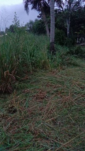 ประกาศฟรี! ซื้อ-ขาย-เช่า คอนโด บ้าน ทาวน์โฮม ที่ดิน และพื้นที่เชิงพาณิชย์ทั่วประเทศไทย ทุกทำเล ทุกงบประมาณ ไม่มีค่าใช้จ่าย ลงง่าย ขายไว เข้าถึงผู้ซื้อโดยตรง 3 302058pic2.jpg