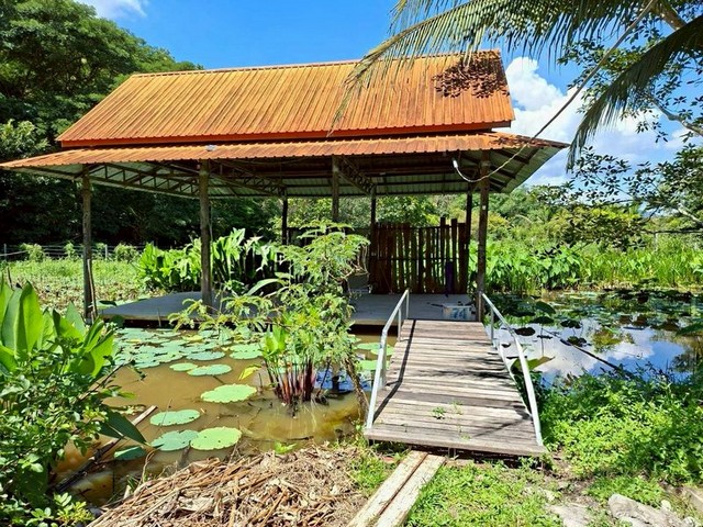 ประกาศฟรี! ซื้อ-ขาย-เช่า คอนโด บ้าน ทาวน์โฮม ที่ดิน และพื้นที่เชิงพาณิชย์ทั่วประเทศไทย ทุกทำเล ทุกงบประมาณ ไม่มีค่าใช้จ่าย ลงง่าย ขายไว เข้าถึงผู้ซื้อโดยตรง 2 261890pic1.jpg