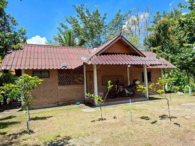 ประกาศฟรี! ซื้อ-ขาย-เช่า คอนโด บ้าน ทาวน์โฮม ที่ดิน และพื้นที่เชิงพาณิชย์ทั่วประเทศไทย ทุกทำเล ทุกงบประมาณ ไม่มีค่าใช้จ่าย ลงง่าย ขายไว เข้าถึงผู้ซื้อโดยตรง 3 261890pic2.jpg