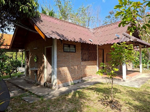 ประกาศฟรี! ซื้อ-ขาย-เช่า คอนโด บ้าน ทาวน์โฮม ที่ดิน และพื้นที่เชิงพาณิชย์ทั่วประเทศไทย ทุกทำเล ทุกงบประมาณ ไม่มีค่าใช้จ่าย ลงง่าย ขายไว เข้าถึงผู้ซื้อโดยตรง 5 261890pic4.jpg