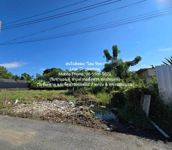 ประกาศฟรี! ซื้อ-ขาย-เช่า คอนโด บ้าน ทาวน์โฮม ที่ดิน และพื้นที่เชิงพาณิชย์ทั่วประเทศไทย ทุกทำเล ทุกงบประมาณ ไม่มีค่าใช้จ่าย ลงง่าย ขายไว เข้าถึงผู้ซื้อโดยตรง 5 309161pic4.jpg