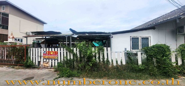 ประกาศฟรี! ซื้อ-ขาย-เช่า คอนโด บ้าน ทาวน์โฮม ที่ดิน และพื้นที่เชิงพาณิชย์ทั่วประเทศไทย ทุกทำเล ทุกงบประมาณ ไม่มีค่าใช้จ่าย ลงง่าย ขายไว เข้าถึงผู้ซื้อโดยตรง 3 244313pic2.jpg