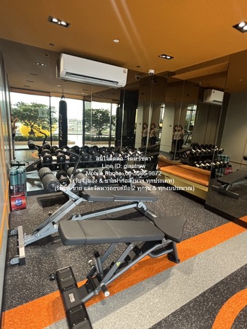 ประกาศฟรี! ซื้อ-ขาย-เช่า คอนโด บ้าน ทาวน์โฮม ที่ดิน และพื้นที่เชิงพาณิชย์ทั่วประเทศไทย ทุกทำเล ทุกงบประมาณ ไม่มีค่าใช้จ่าย ลงง่าย ขายไว เข้าถึงผู้ซื้อโดยตรง 5 308922pic4.jpg