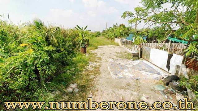 ประกาศฟรี! ซื้อ-ขาย-เช่า คอนโด บ้าน ทาวน์โฮม ที่ดิน และพื้นที่เชิงพาณิชย์ทั่วประเทศไทย ทุกทำเล ทุกงบประมาณ ไม่มีค่าใช้จ่าย ลงง่าย ขายไว เข้าถึงผู้ซื้อโดยตรง 3 178664pic2.jpg