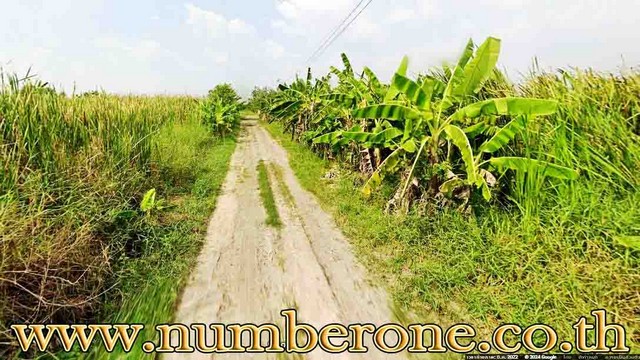 ประกาศฟรี! ซื้อ-ขาย-เช่า คอนโด บ้าน ทาวน์โฮม ที่ดิน และพื้นที่เชิงพาณิชย์ทั่วประเทศไทย ทุกทำเล ทุกงบประมาณ ไม่มีค่าใช้จ่าย ลงง่าย ขายไว เข้าถึงผู้ซื้อโดยตรง 4 178664pic3.jpg