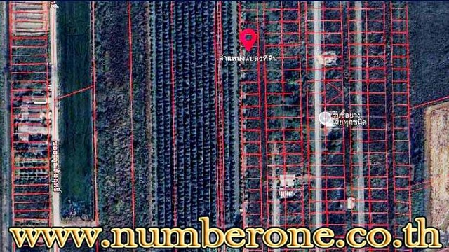 ประกาศฟรี! ซื้อ-ขาย-เช่า คอนโด บ้าน ทาวน์โฮม ที่ดิน และพื้นที่เชิงพาณิชย์ทั่วประเทศไทย ทุกทำเล ทุกงบประมาณ ไม่มีค่าใช้จ่าย ลงง่าย ขายไว เข้าถึงผู้ซื้อโดยตรง 5 178664pic4.jpg