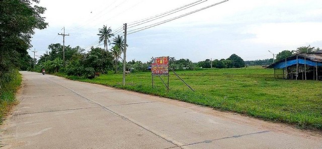 ประกาศฟรี! ซื้อ-ขาย-เช่า คอนโด บ้าน ทาวน์โฮม ที่ดิน และพื้นที่เชิงพาณิชย์ทั่วประเทศไทย ทุกทำเล ทุกงบประมาณ ไม่มีค่าใช้จ่าย ลงง่าย ขายไว เข้าถึงผู้ซื้อโดยตรง 3 94754pic2.jpg