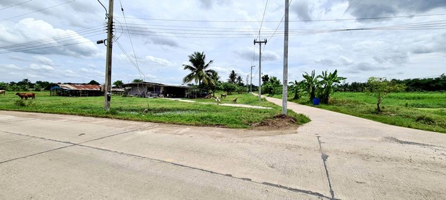 ประกาศฟรี! ซื้อ-ขาย-เช่า คอนโด บ้าน ทาวน์โฮม ที่ดิน และพื้นที่เชิงพาณิชย์ทั่วประเทศไทย ทุกทำเล ทุกงบประมาณ ไม่มีค่าใช้จ่าย ลงง่าย ขายไว เข้าถึงผู้ซื้อโดยตรง 4 94754pic3.jpg