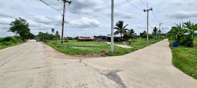 ประกาศฟรี! ซื้อ-ขาย-เช่า คอนโด บ้าน ทาวน์โฮม ที่ดิน และพื้นที่เชิงพาณิชย์ทั่วประเทศไทย ทุกทำเล ทุกงบประมาณ ไม่มีค่าใช้จ่าย ลงง่าย ขายไว เข้าถึงผู้ซื้อโดยตรง 5 94754pic4.jpg