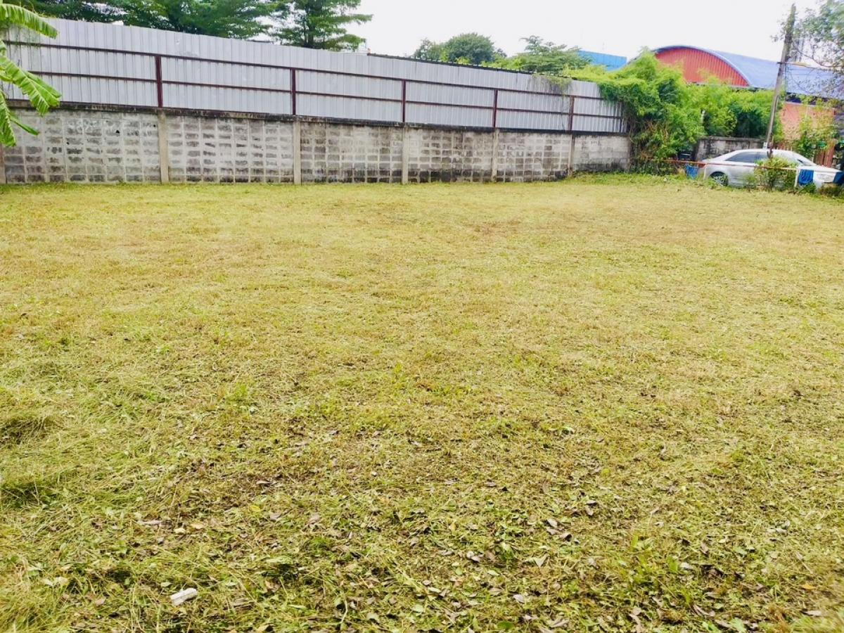 ประกาศฟรี! ซื้อ-ขาย-เช่า คอนโด บ้าน ทาวน์โฮม ที่ดิน และพื้นที่เชิงพาณิชย์ทั่วประเทศไทย ทุกทำเล ทุกงบประมาณ ไม่มีค่าใช้จ่าย ลงง่าย ขายไว เข้าถึงผู้ซื้อโดยตรง 3 318414pic2.jpg