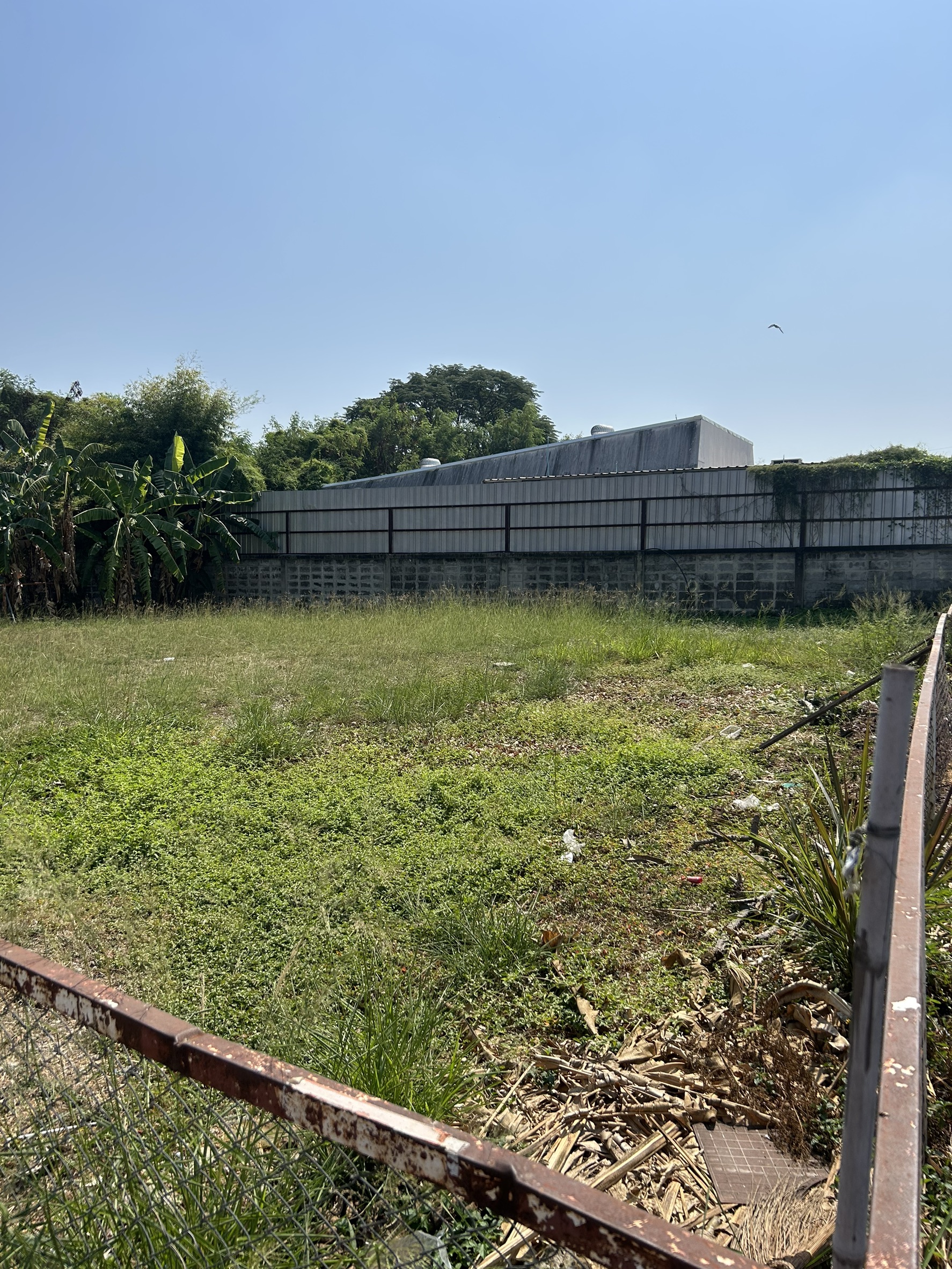 ประกาศฟรี! ซื้อ-ขาย-เช่า คอนโด บ้าน ทาวน์โฮม ที่ดิน และพื้นที่เชิงพาณิชย์ทั่วประเทศไทย ทุกทำเล ทุกงบประมาณ ไม่มีค่าใช้จ่าย ลงง่าย ขายไว เข้าถึงผู้ซื้อโดยตรง 5 318414pic4.jpg