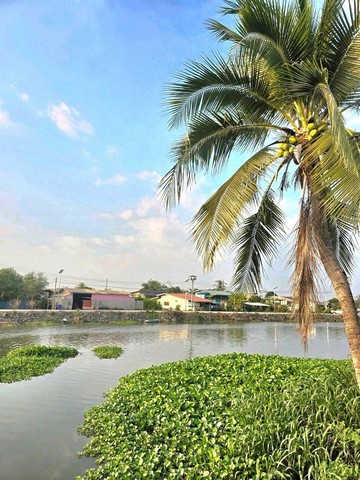 ประกาศฟรี! ซื้อ-ขาย-เช่า คอนโด บ้าน ทาวน์โฮม ที่ดิน และพื้นที่เชิงพาณิชย์ทั่วประเทศไทย ทุกทำเล ทุกงบประมาณ ไม่มีค่าใช้จ่าย ลงง่าย ขายไว เข้าถึงผู้ซื้อโดยตรง 2 318639pic1.jpg