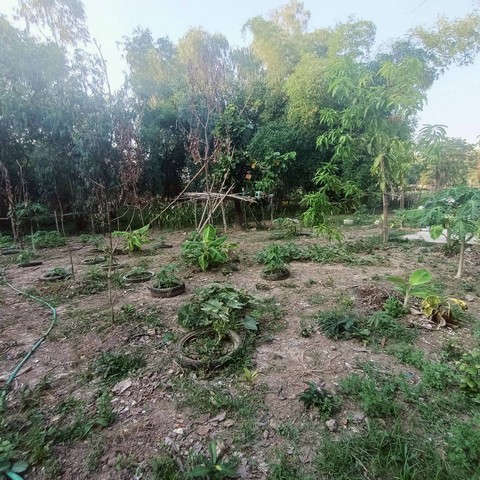 ประกาศฟรี! ซื้อ-ขาย-เช่า คอนโด บ้าน ทาวน์โฮม ที่ดิน และพื้นที่เชิงพาณิชย์ทั่วประเทศไทย ทุกทำเล ทุกงบประมาณ ไม่มีค่าใช้จ่าย ลงง่าย ขายไว เข้าถึงผู้ซื้อโดยตรง 2 521325pic1.jpg