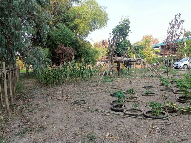 ประกาศฟรี! ซื้อ-ขาย-เช่า คอนโด บ้าน ทาวน์โฮม ที่ดิน และพื้นที่เชิงพาณิชย์ทั่วประเทศไทย ทุกทำเล ทุกงบประมาณ ไม่มีค่าใช้จ่าย ลงง่าย ขายไว เข้าถึงผู้ซื้อโดยตรง 3 521325pic2.jpg