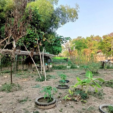 ประกาศฟรี! ซื้อ-ขาย-เช่า คอนโด บ้าน ทาวน์โฮม ที่ดิน และพื้นที่เชิงพาณิชย์ทั่วประเทศไทย ทุกทำเล ทุกงบประมาณ ไม่มีค่าใช้จ่าย ลงง่าย ขายไว เข้าถึงผู้ซื้อโดยตรง 4 521325pic3.jpg