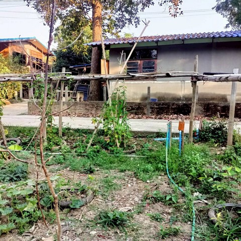 ประกาศฟรี! ซื้อ-ขาย-เช่า คอนโด บ้าน ทาวน์โฮม ที่ดิน และพื้นที่เชิงพาณิชย์ทั่วประเทศไทย ทุกทำเล ทุกงบประมาณ ไม่มีค่าใช้จ่าย ลงง่าย ขายไว เข้าถึงผู้ซื้อโดยตรง 5 521325pic4.jpg