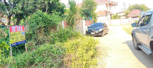 ประกาศฟรี! ซื้อ-ขาย-เช่า คอนโด บ้าน ทาวน์โฮม ที่ดิน และพื้นที่เชิงพาณิชย์ทั่วประเทศไทย ทุกทำเล ทุกงบประมาณ ไม่มีค่าใช้จ่าย ลงง่าย ขายไว เข้าถึงผู้ซื้อโดยตรง 3 521323pic2.jpg