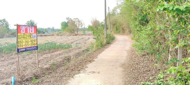 ประกาศฟรี! ซื้อ-ขาย-เช่า คอนโด บ้าน ทาวน์โฮม ที่ดิน และพื้นที่เชิงพาณิชย์ทั่วประเทศไทย ทุกทำเล ทุกงบประมาณ ไม่มีค่าใช้จ่าย ลงง่าย ขายไว เข้าถึงผู้ซื้อโดยตรง 2 521321pic1.jpg